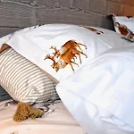 D'hôtes La Maisonnette Couette-café Etusson