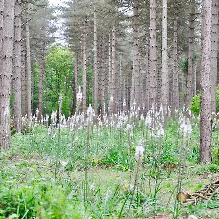 D'hotes La Maisonnette 3*