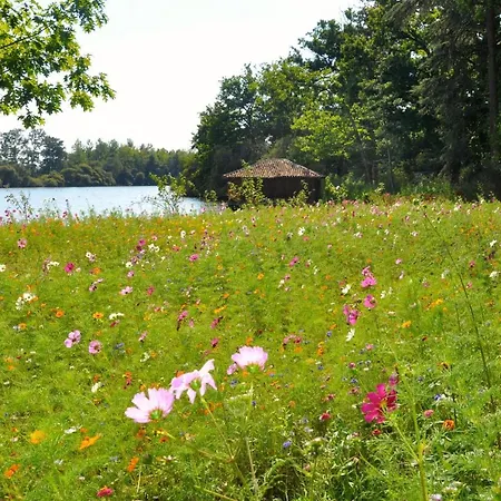 D'hotes La Maisonnette Nocleg ze śniadaniem Etusson
