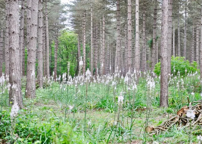 D'hotes La Maisonnette 3*