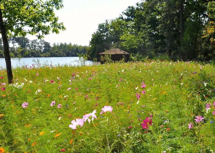 D'hotes La Maisonnette Bed and breakfast Etusson